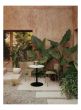 Co Dining Chair Outdoor with Armrests - Olive
