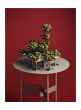 Italian Ice Cup - Stainless steel