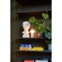 Pc Portable Lamp No 2 - Fall Green