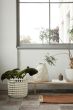 Kona Display Table - Natural Oak